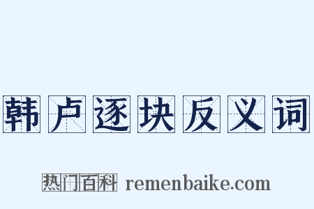 韩卢逐块反义词是什么意思的图片